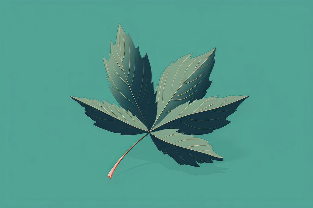 Leaf plant cannabis medicine.