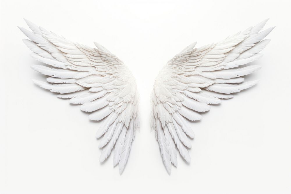 Angel wing white white background creativity.