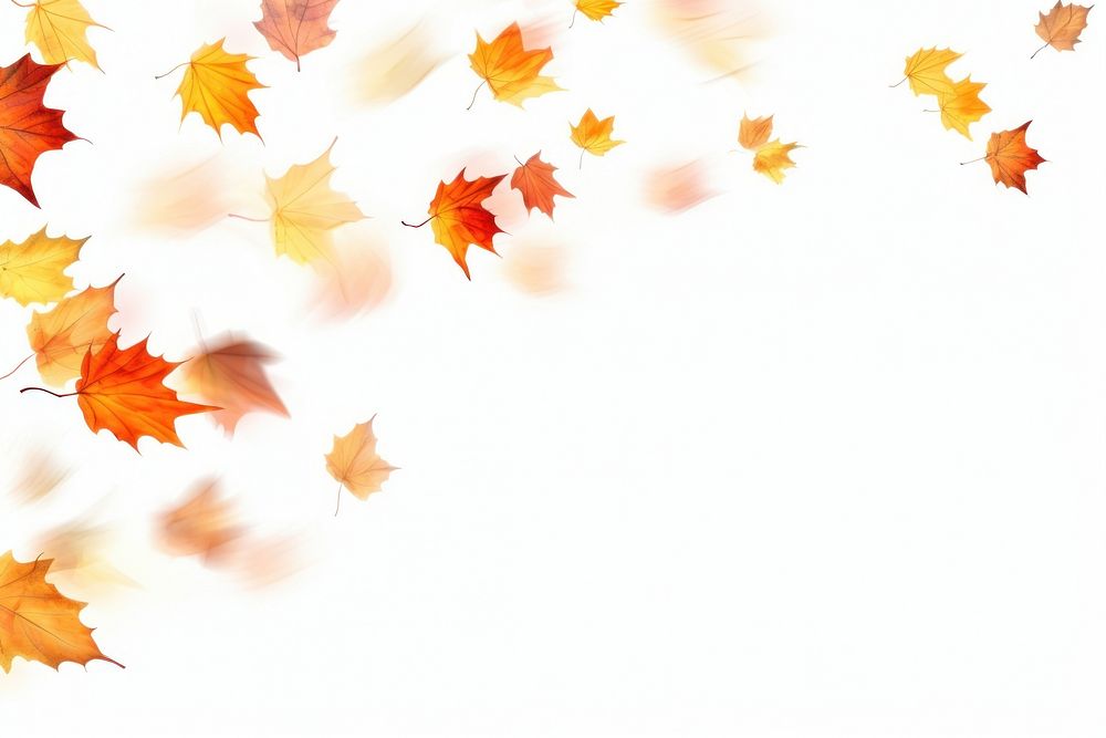 Photo of flying autumn leaves backgrounds maple plant.