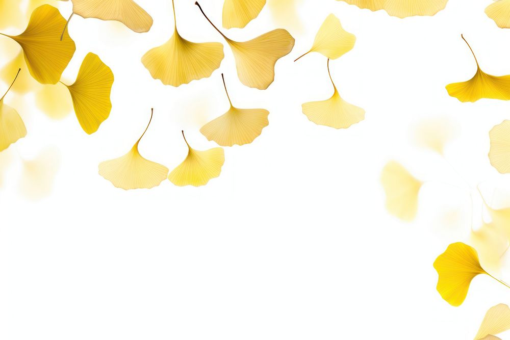 Photo of flying ginkgo leaves backgrounds plant leaf.