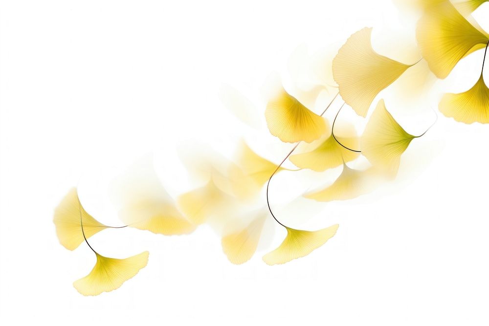 Photo of flying ginkgo leaves backgrounds pattern petal.