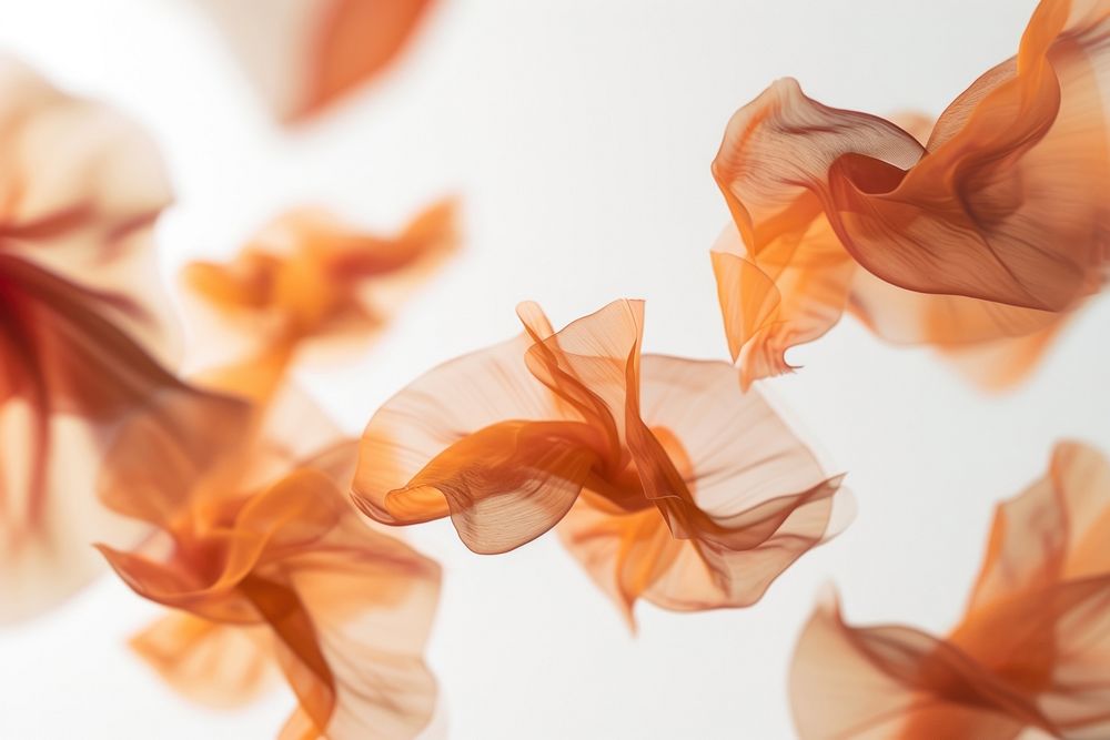 Photo of flying organic shapes backgrounds petal fragility.