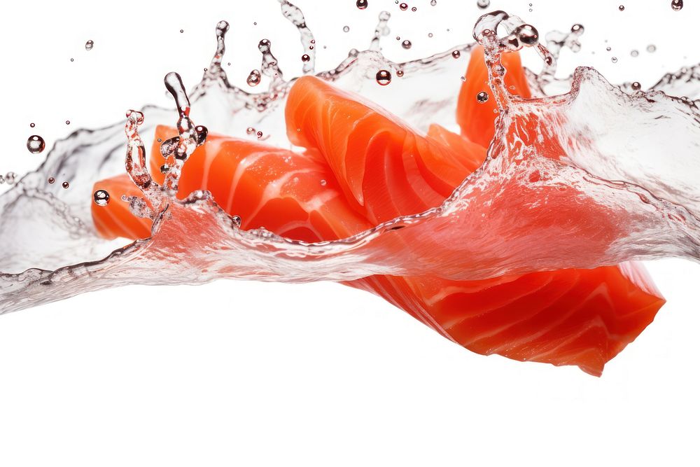 Photo of flying salmons sashimi seafood red white background.