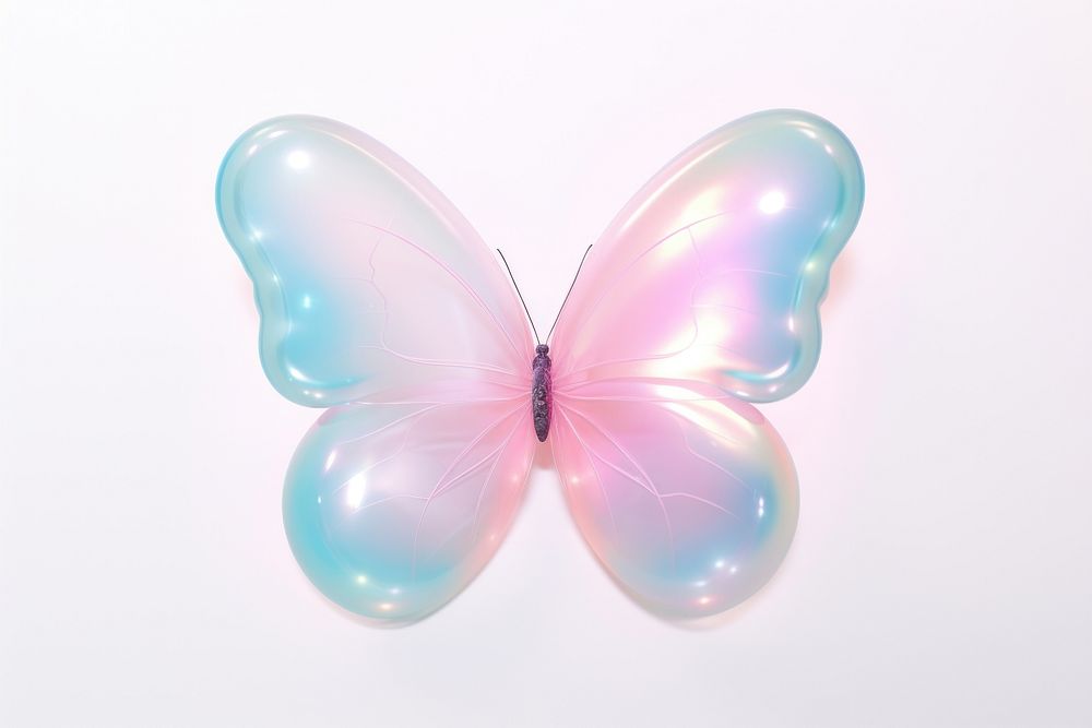 Butterfly white background translucent accessories.
