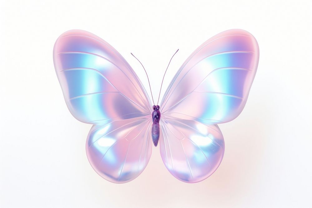Butterfly animal white background accessories.