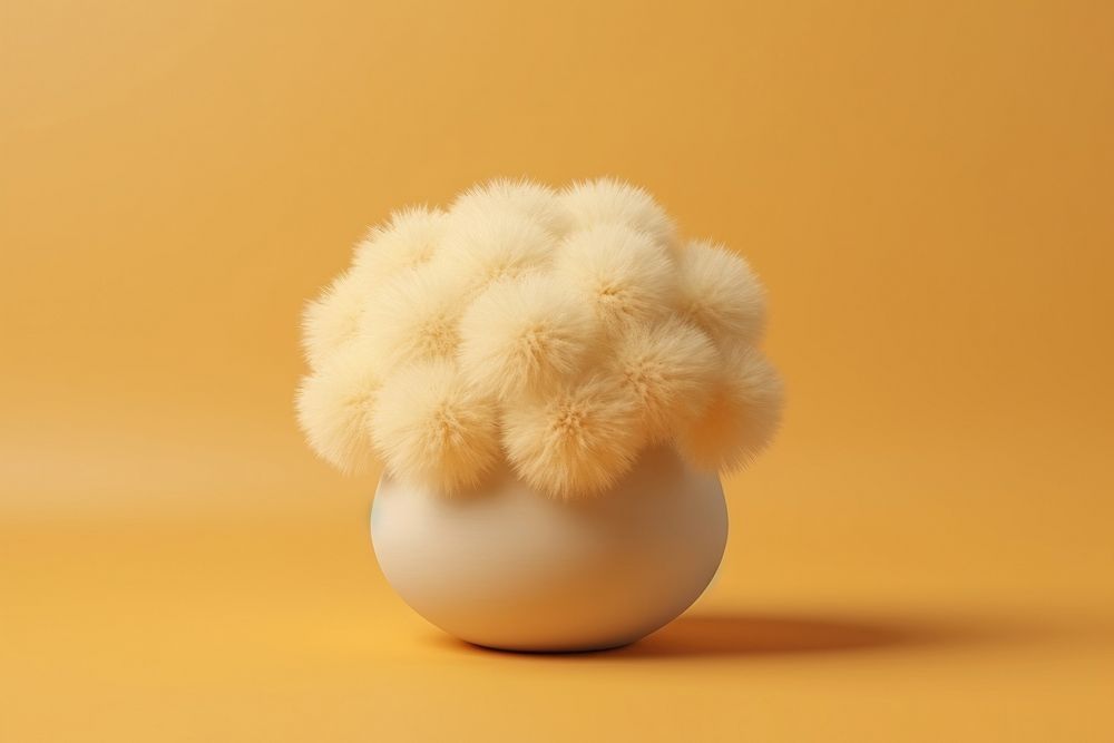 Daisy in vase fluffy wool egg freshness softness.