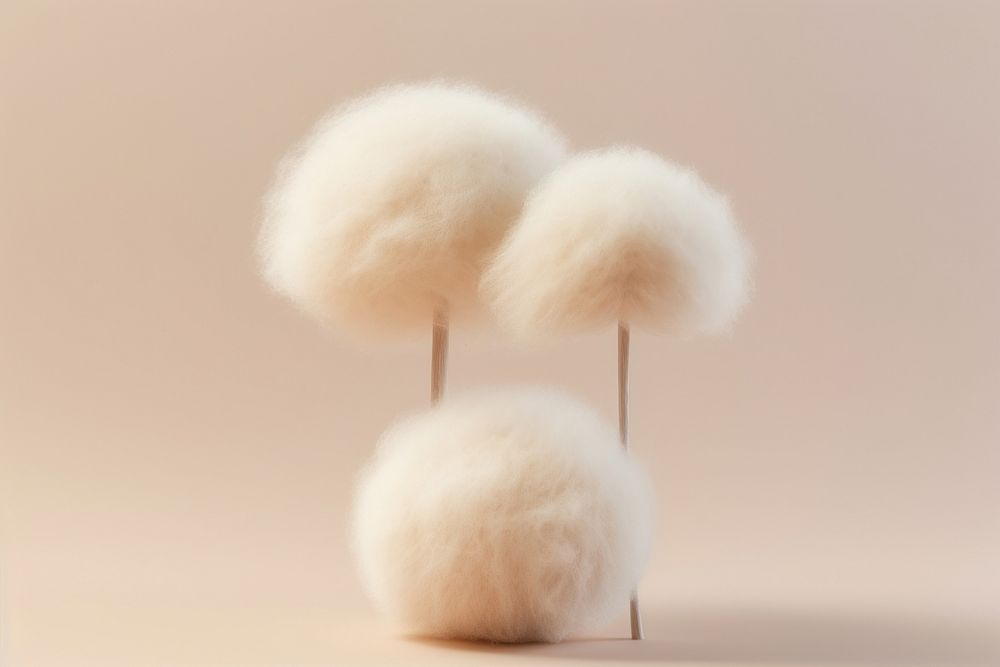 Mushroom fluffy wool mammal softness animal.