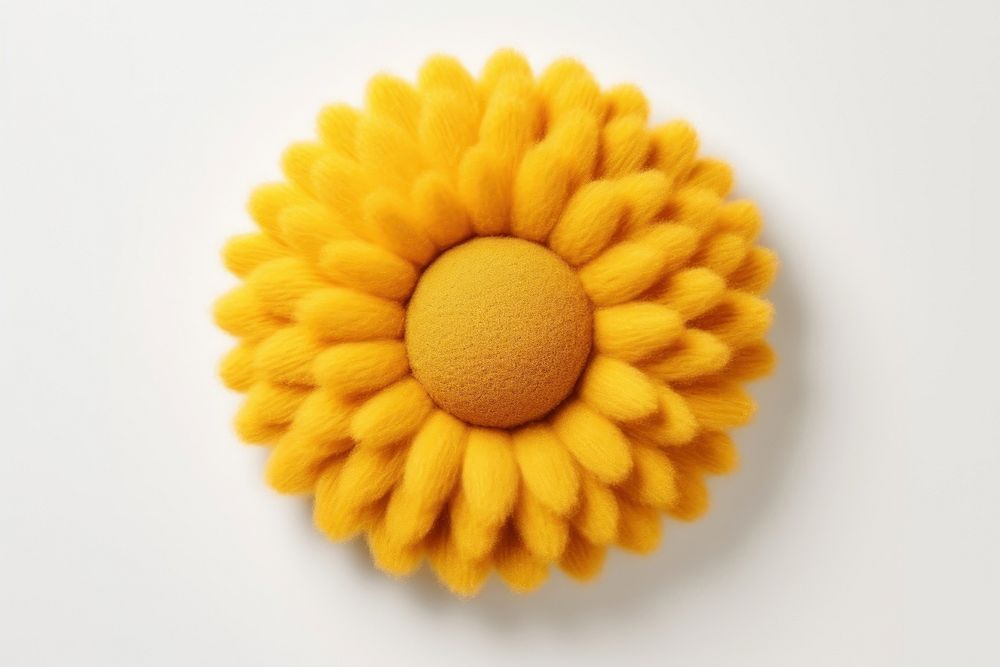 Sunflower food inflorescence accessories.