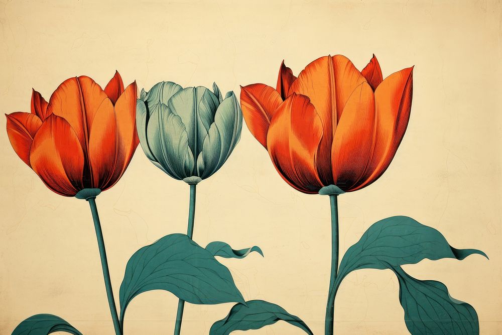 Ukiyo-e art print style Tulip tulip painting flower.