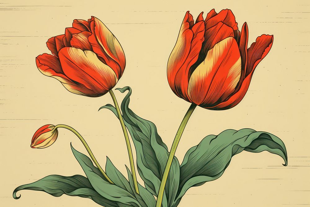 Ukiyo-e art print style Tulip tulip flower plant.