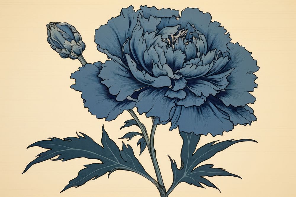 Ukiyo-e art print style blue carnation flower plant inflorescence.