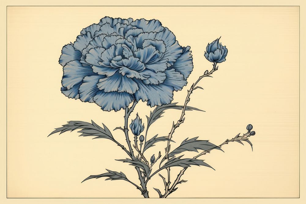 Ukiyo-e art print style blue carnation drawing flower sketch.