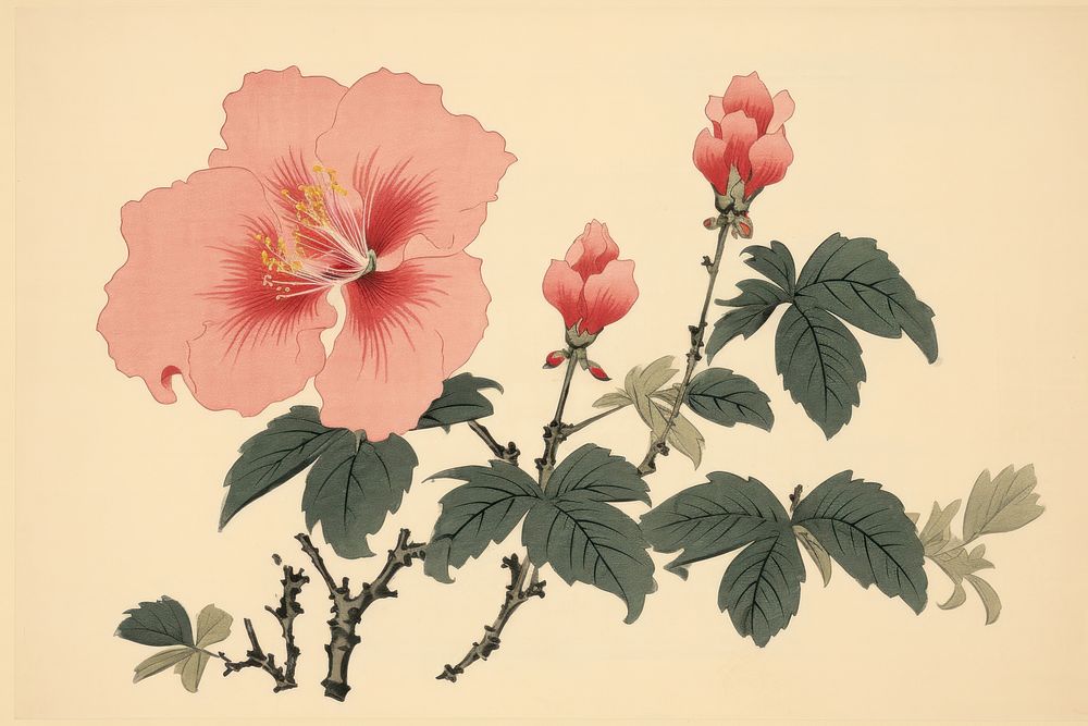 Ukiyo-e art print style pink flower hibiscus plant petal.