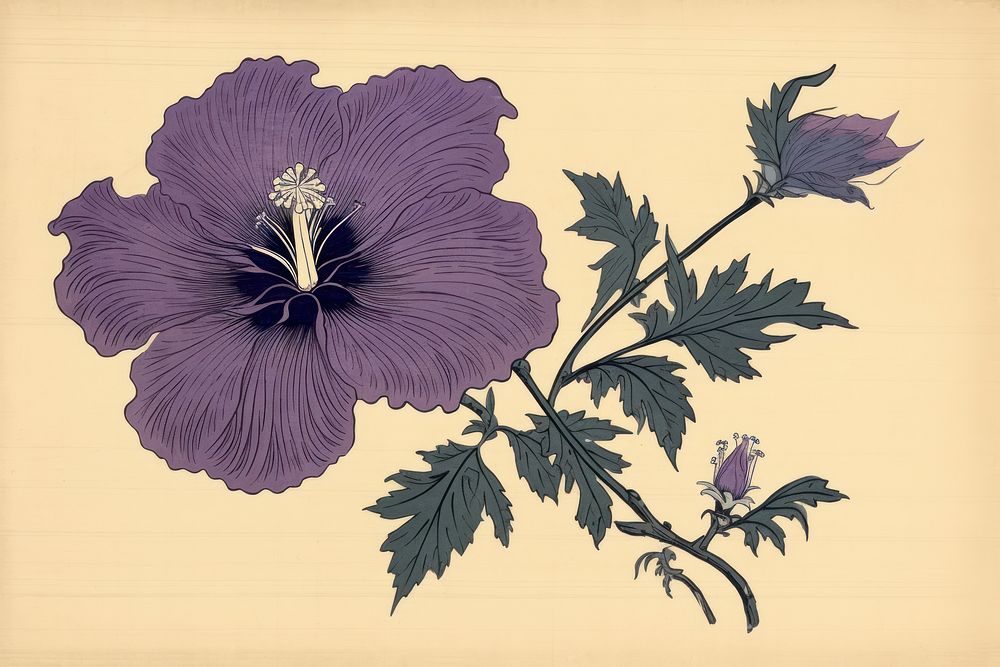 Ukiyo-e art print style purple flower hibiscus plant inflorescence.