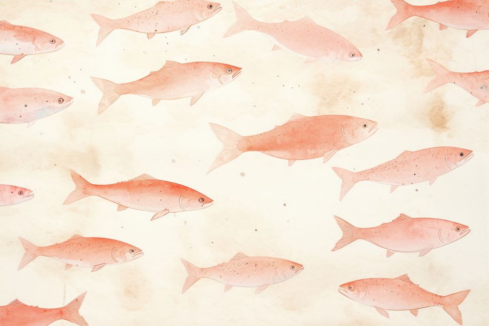 Salmons background backgrounds animal fish.