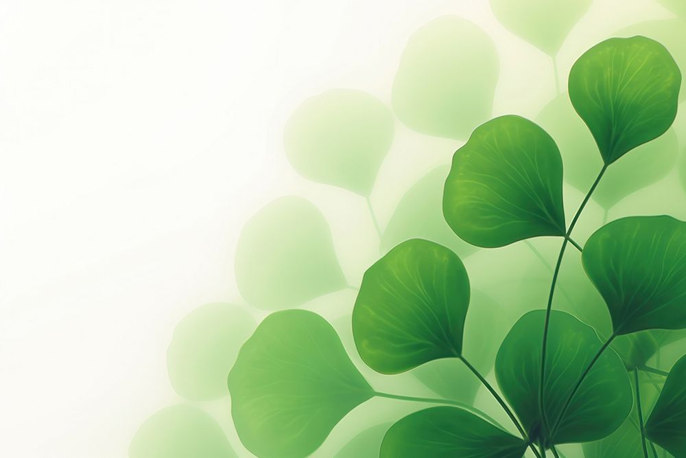 Abstract blurred gradient illustration clovers frame green backgrounds plant.