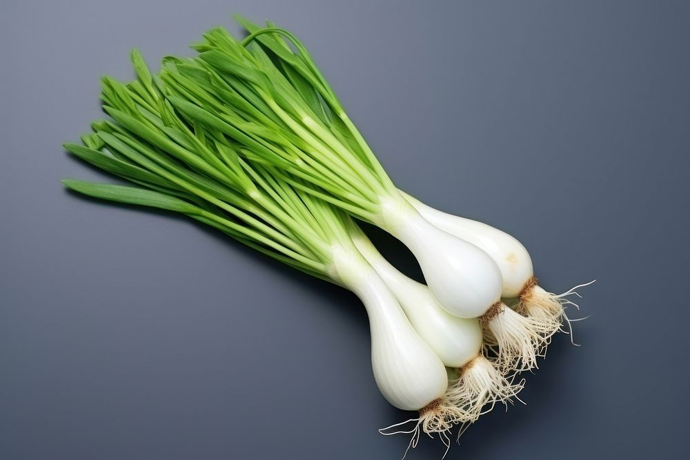 Negi japanese long onion vegetable plant food.