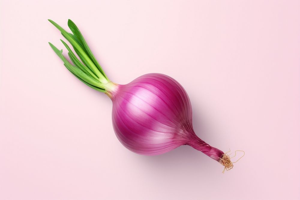 Onion vegetable shallot plant.