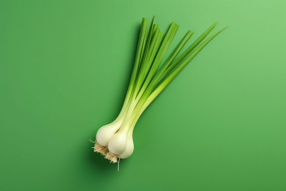 Green onion vegetable plant food.