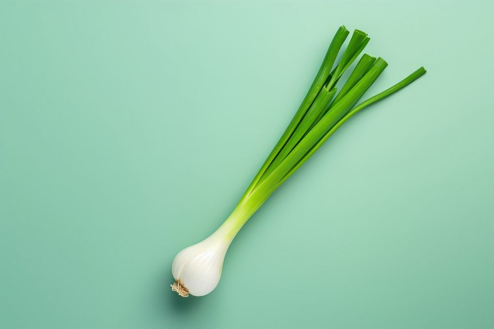 Green onion vegetable plant food.