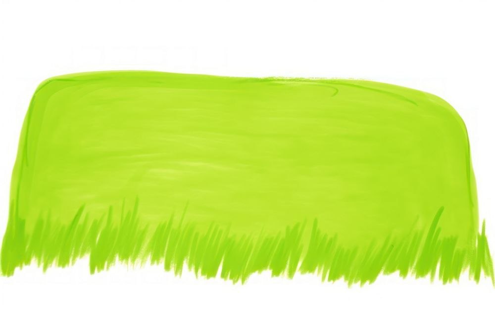 Lawn green white background wheatgrass.