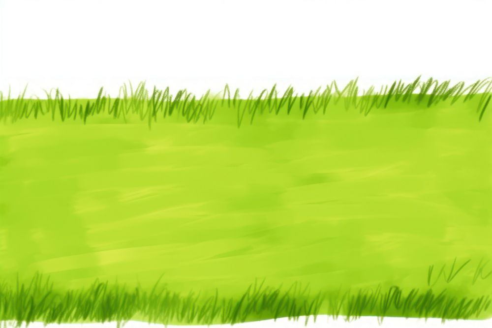 Lawn backgrounds grass plant.
