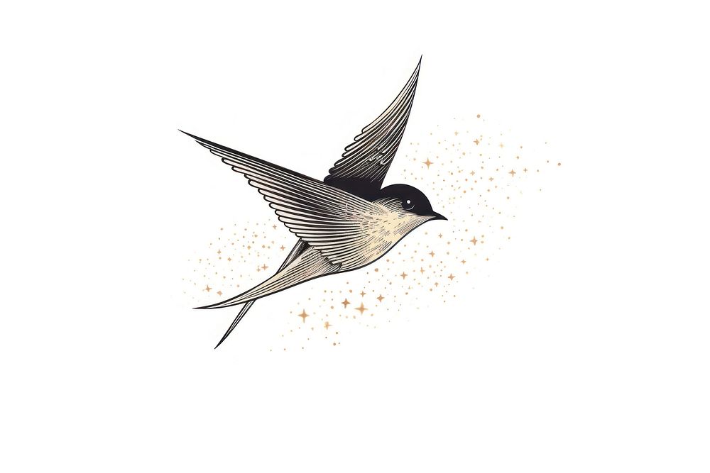 Barn swallow and star animal flying bird.