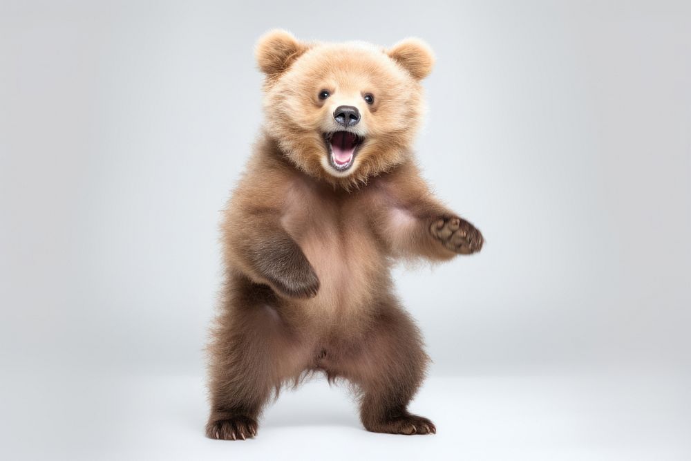 Happy smiling dancing baby bear wildlife mammal animal.