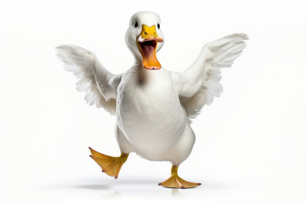 Happy smiling dancing duck animal goose white.