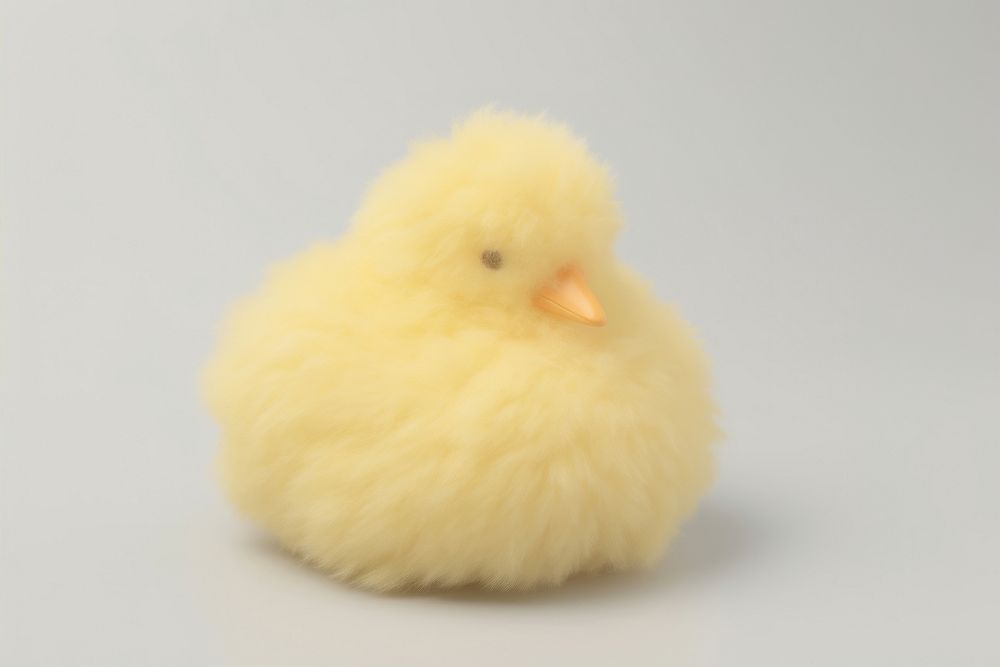 Yellow duck poultry animal fluffy.