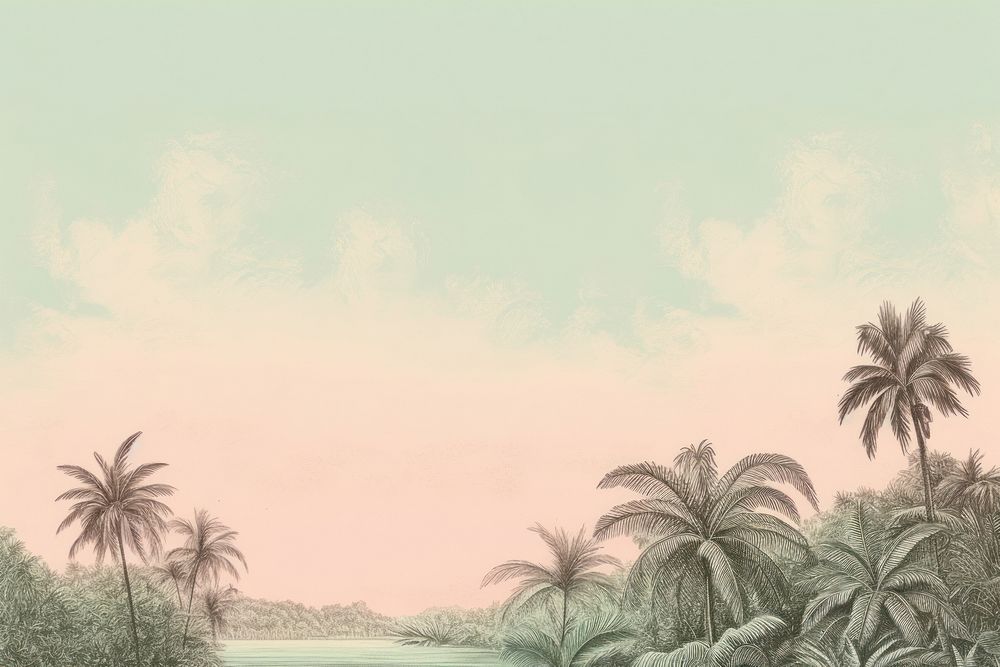 Palm tree backgrounds landscape outdoors.