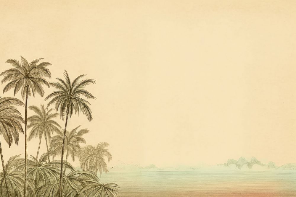 Palm tree drawing backgrounds outdoors.