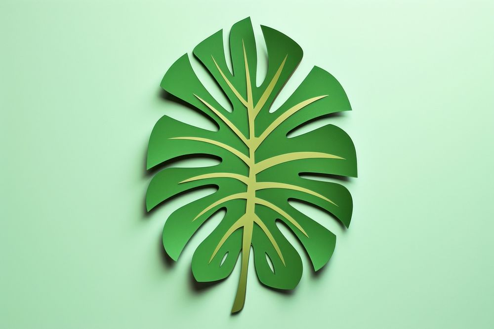 2D monstera leaf icon plant green nature.