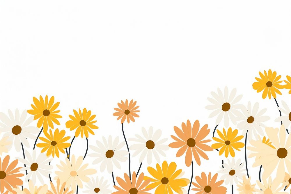 Daisies backgrounds pattern flower.