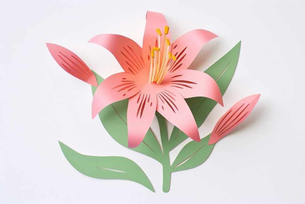 Illustration of a Lily lily flower petal.