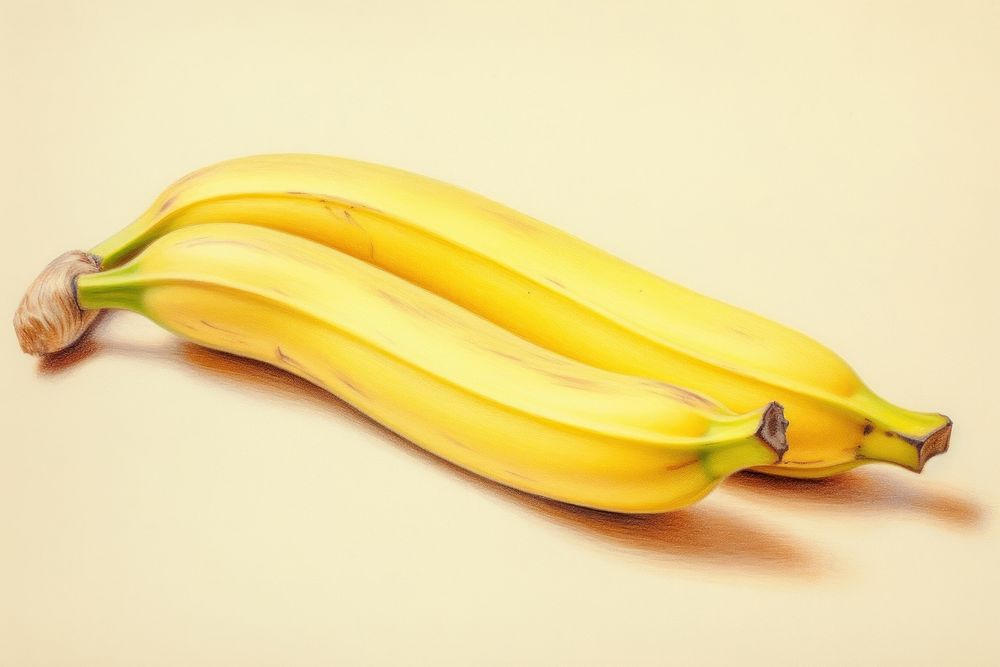 Banana plant food vegetable.