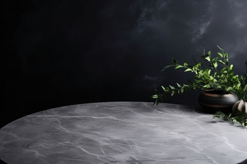 Marble tabletop with dark black cement plant copy space monochrome.