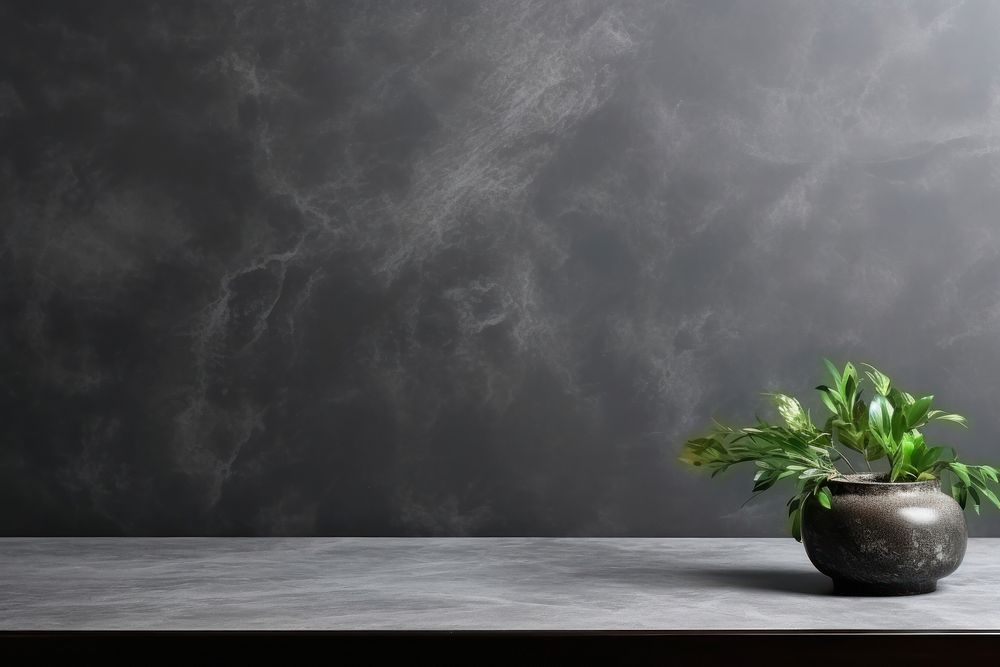 Empty grey marble tabletop with dark black cement blackboard nature plant.