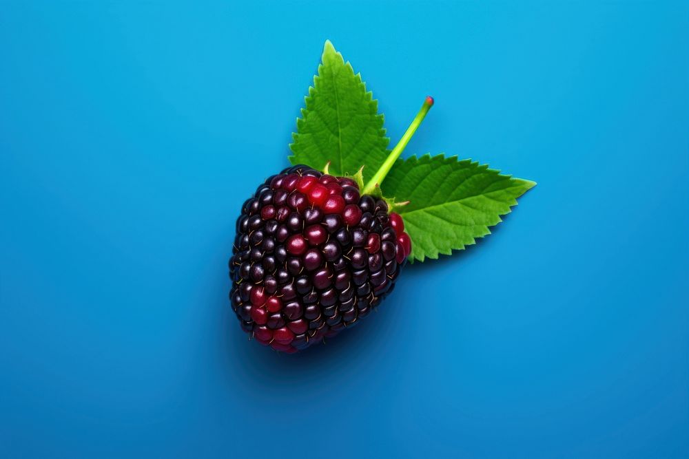 Berry berry blackberry raspberry.