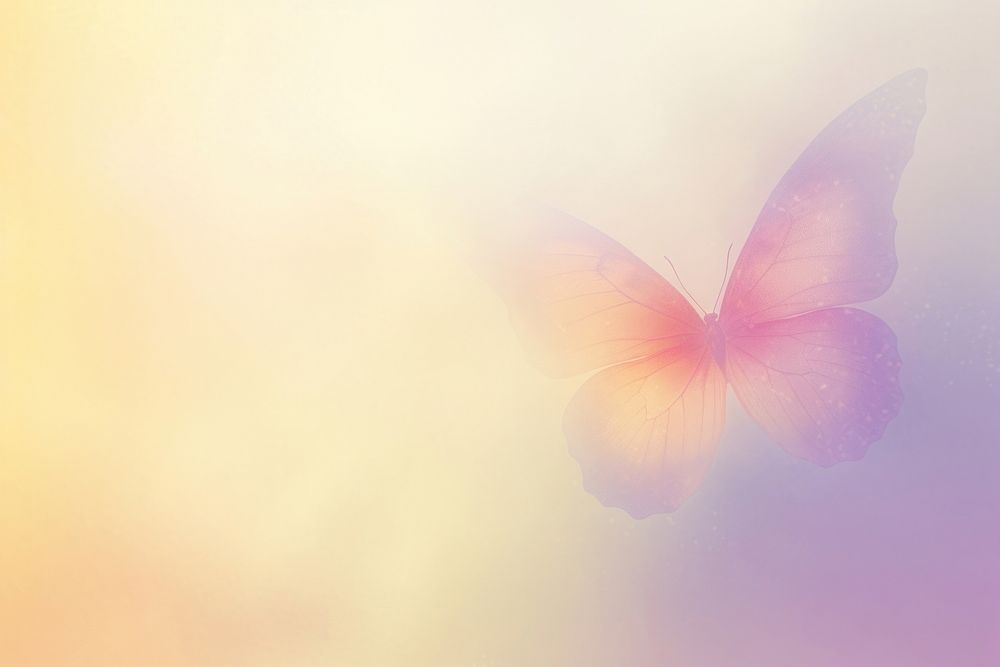 Butterfly shaped backgrounds outdoors nature.