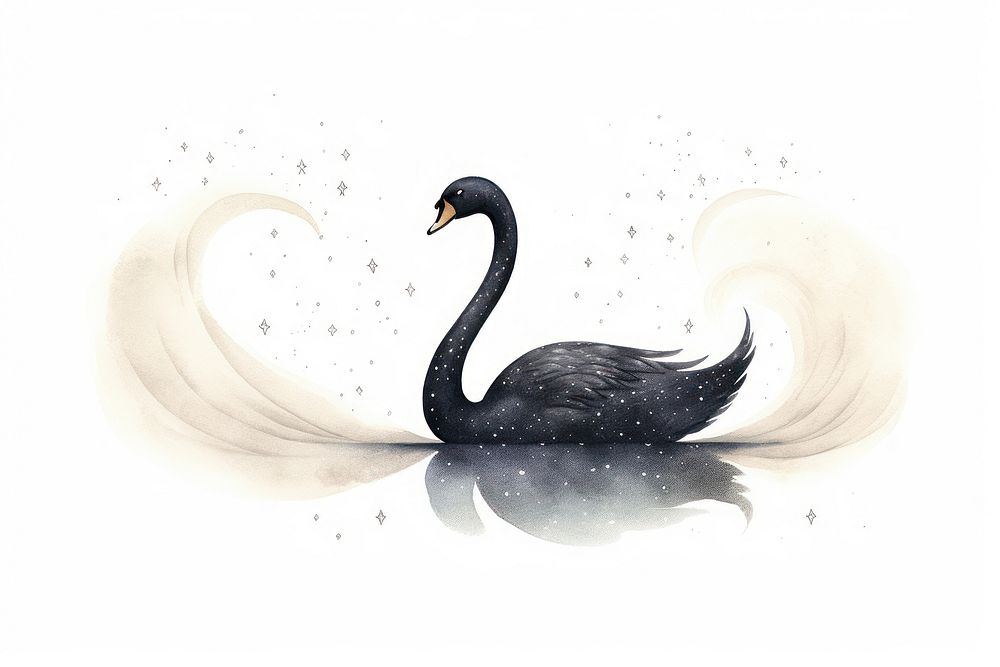 Black swan drawing animal bird.