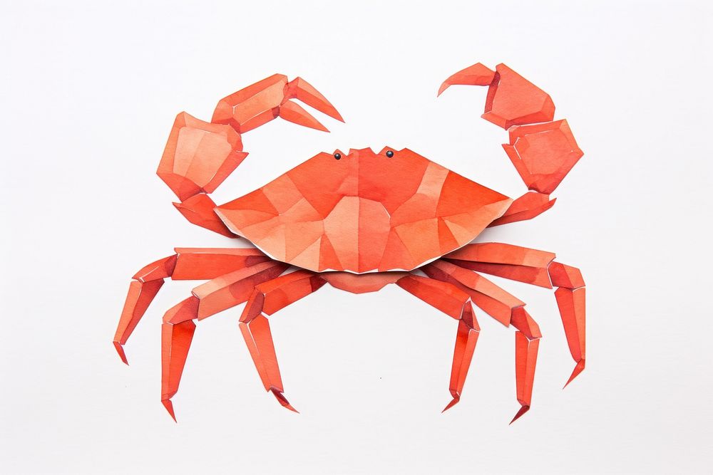 Crab seafood animal invertebrate.