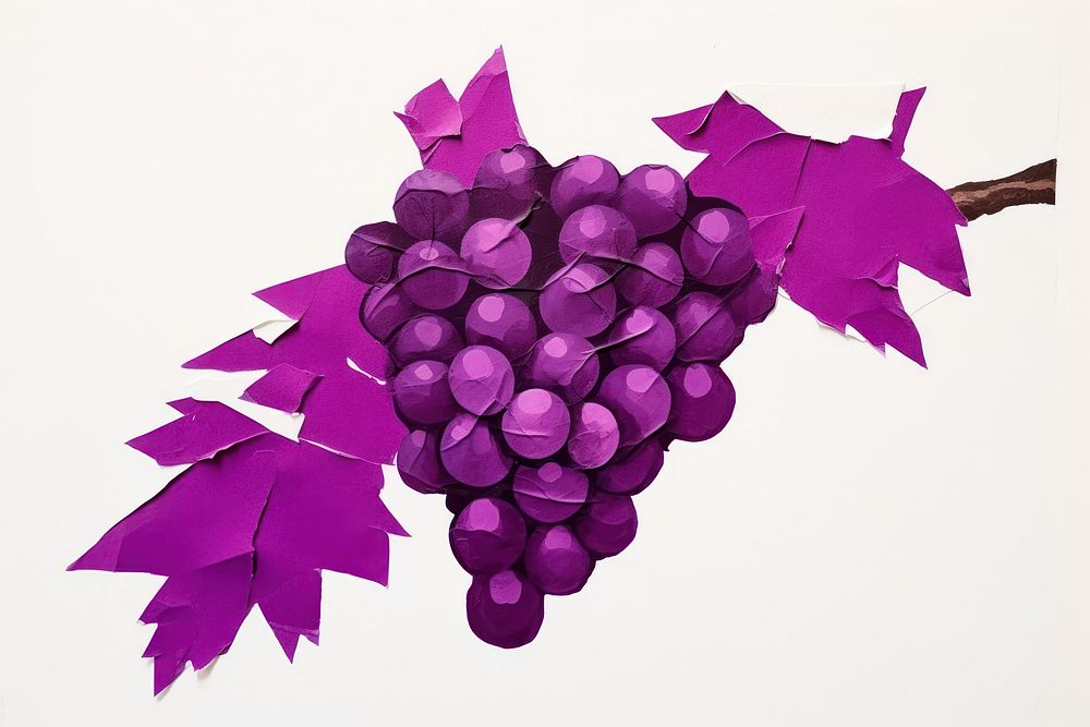 Grape grapes purple plant.