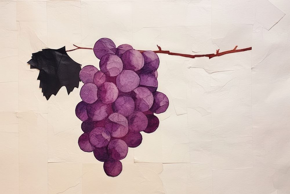 Grapes plant vine art.