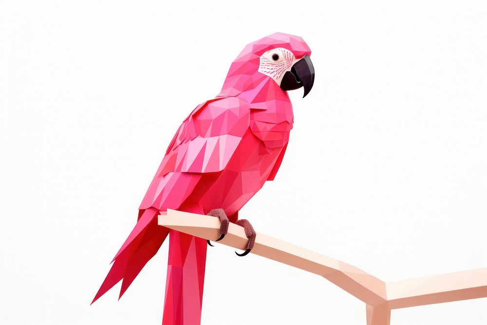 Pink parrot animal nature bird.