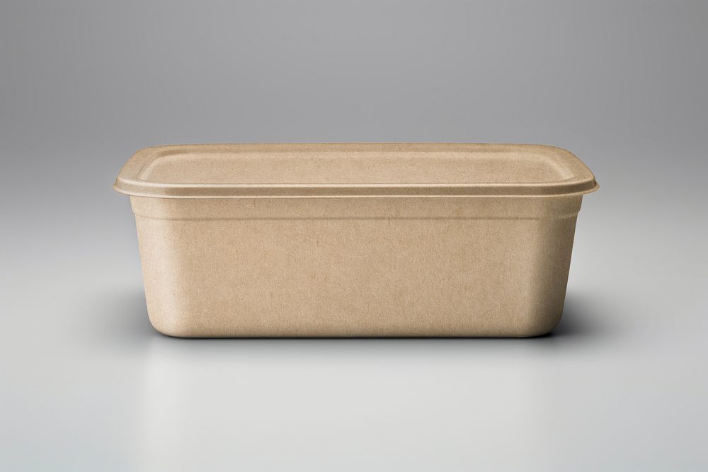 Disposable food box