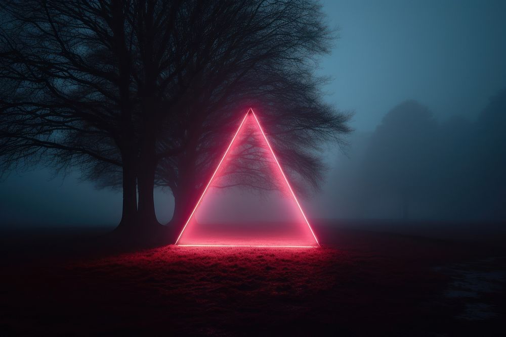 Neon triangle on the air surrounding the tree night outdoors nature.