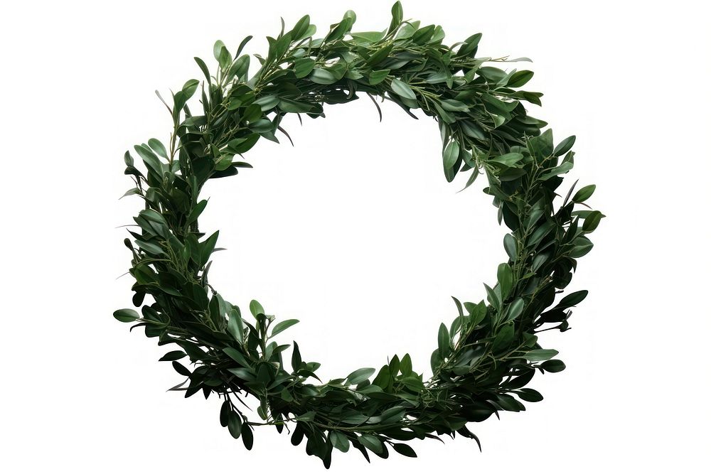 Wreath wreath plant leaf.