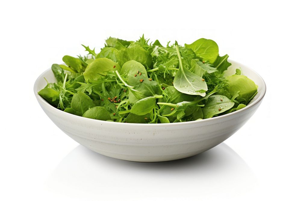 Green Salad vegetable salad plant.