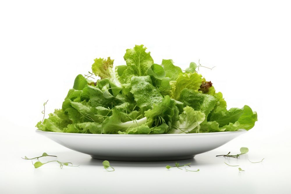 Green Salad vegetable lettuce salad.
